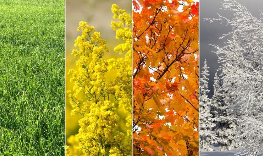 Cửa ABS Hàn Quốc