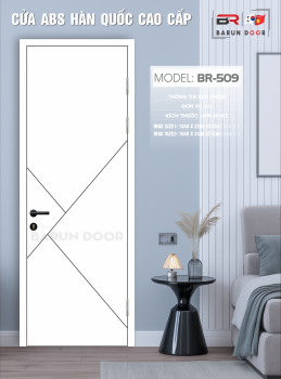 CỬA THIẾT KẾ BR-509